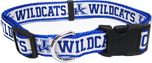 Kentucky Wildcats
