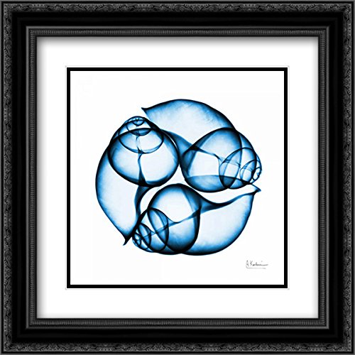 Albert Koetsier Electric Blue Moonsnails 2 - 15x15 Inch Black Ornate Framed Double Matted Museum Art Print - Perfect for Living Room, Bedroom & Office Wall Decor