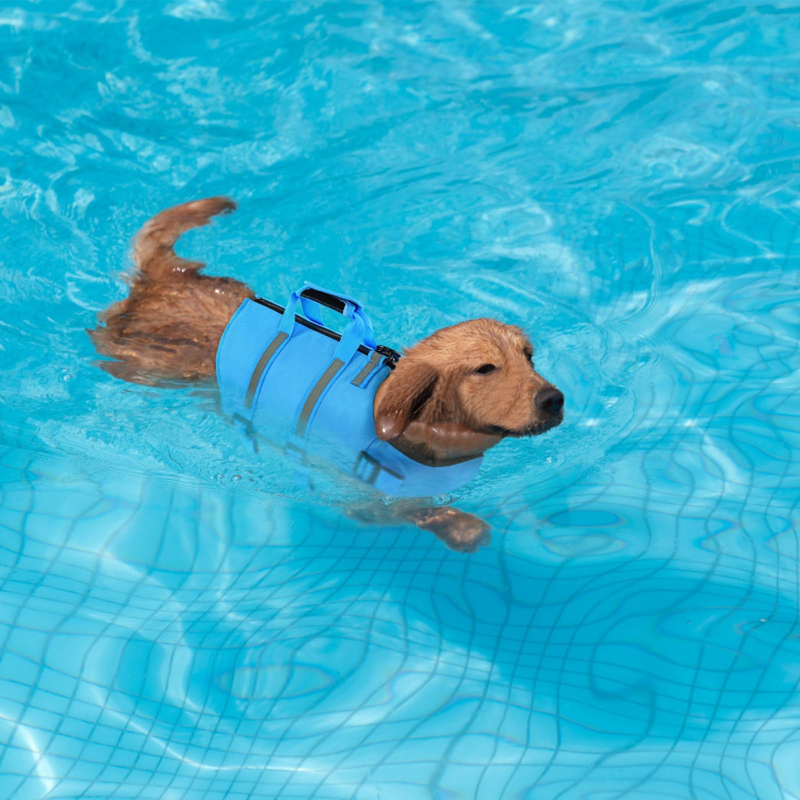 SAWMONG Dog Life Jacket - Ripstop High Flotation Swimming Vest for Small Medium Large Dogs - Reflective Lightweight Pet Life Preserver with Rescue Handle - Perfect for Swimming, Boating & Water Safety (Blue, XS)