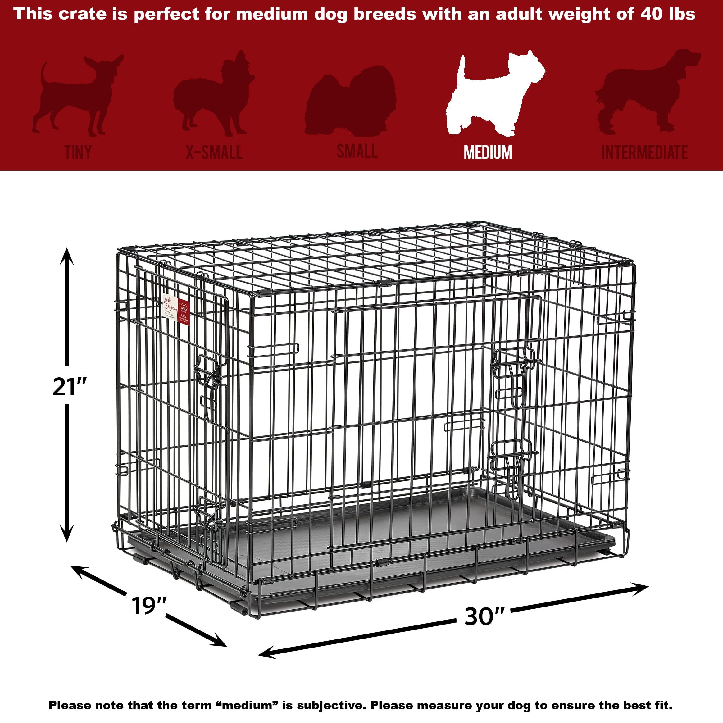 MidWest Homes for Pets Medium Dog Crate - 30 Inch Double Door Folding Metal Dog Kennel with Divider Panel & Floor Protectors | Ideal for Training, Travel & Home Use | 30.6L x 19.3W x 21.4H Inches