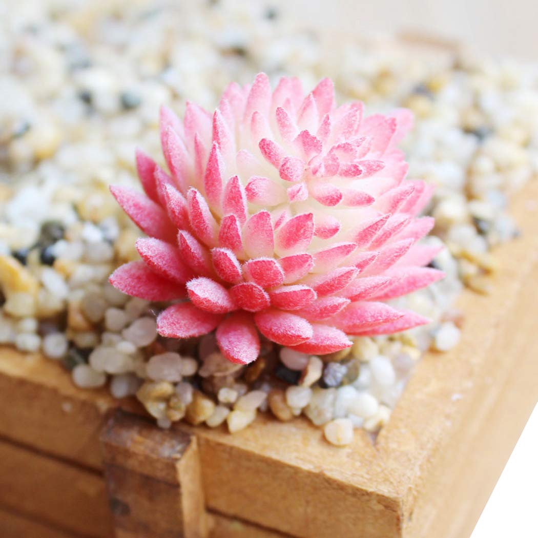 JUSTDOLIFE Artificial Succulents for Home & Wedding Decor DIY