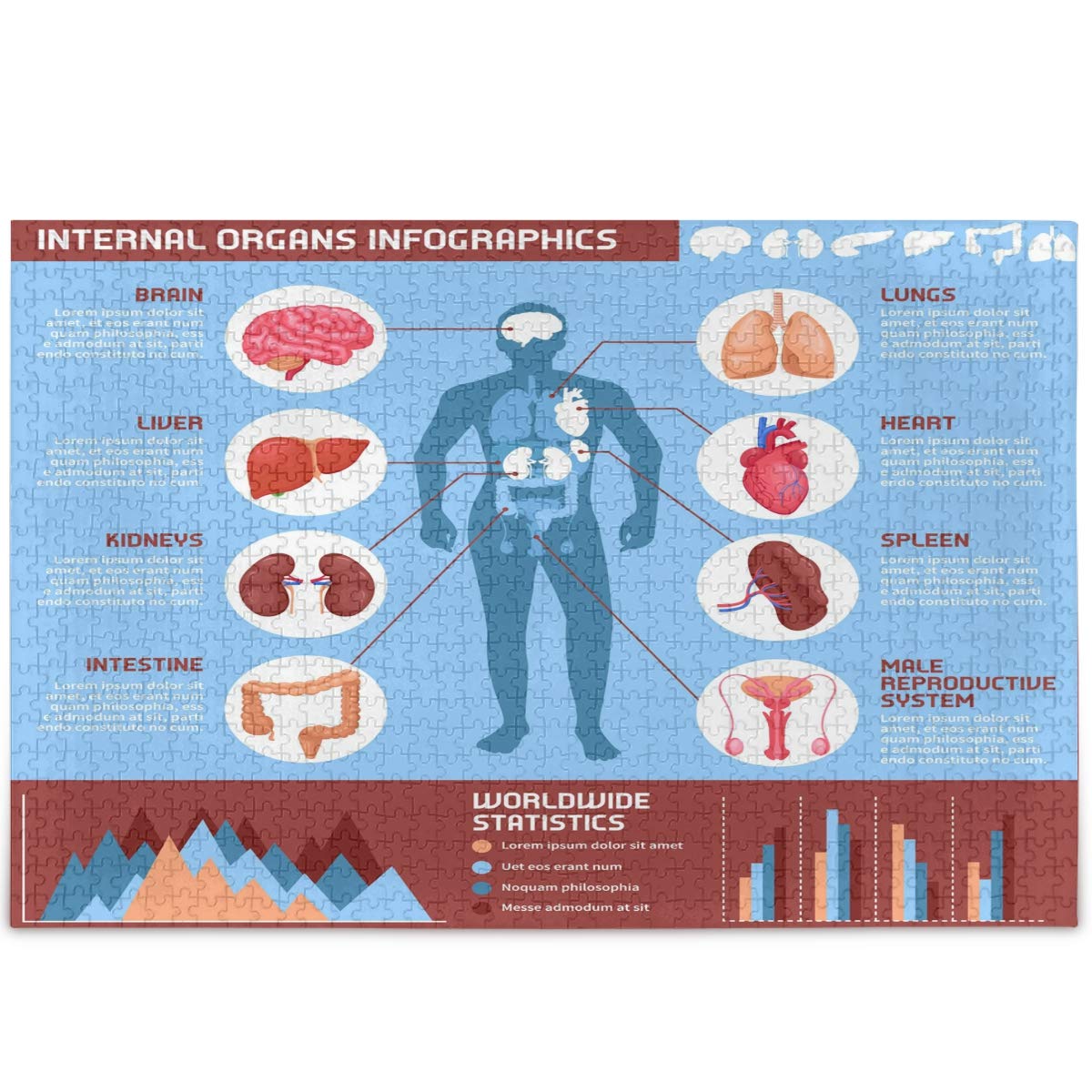Oarencol 500-Piece Human Body Jigsaw Puzzle with Internal Organs - Educational Anatomy Puzzle for Adults & Kids - Perfect for Science Classrooms, Homeschooling & Family Game Night