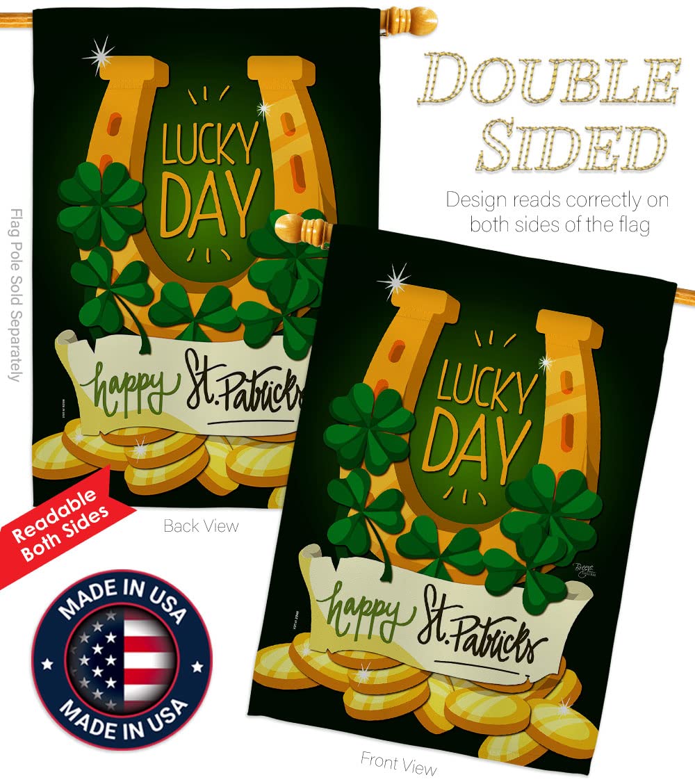 Lucky Day Spring St Patrick's Day Vertical House Flag Set - 28