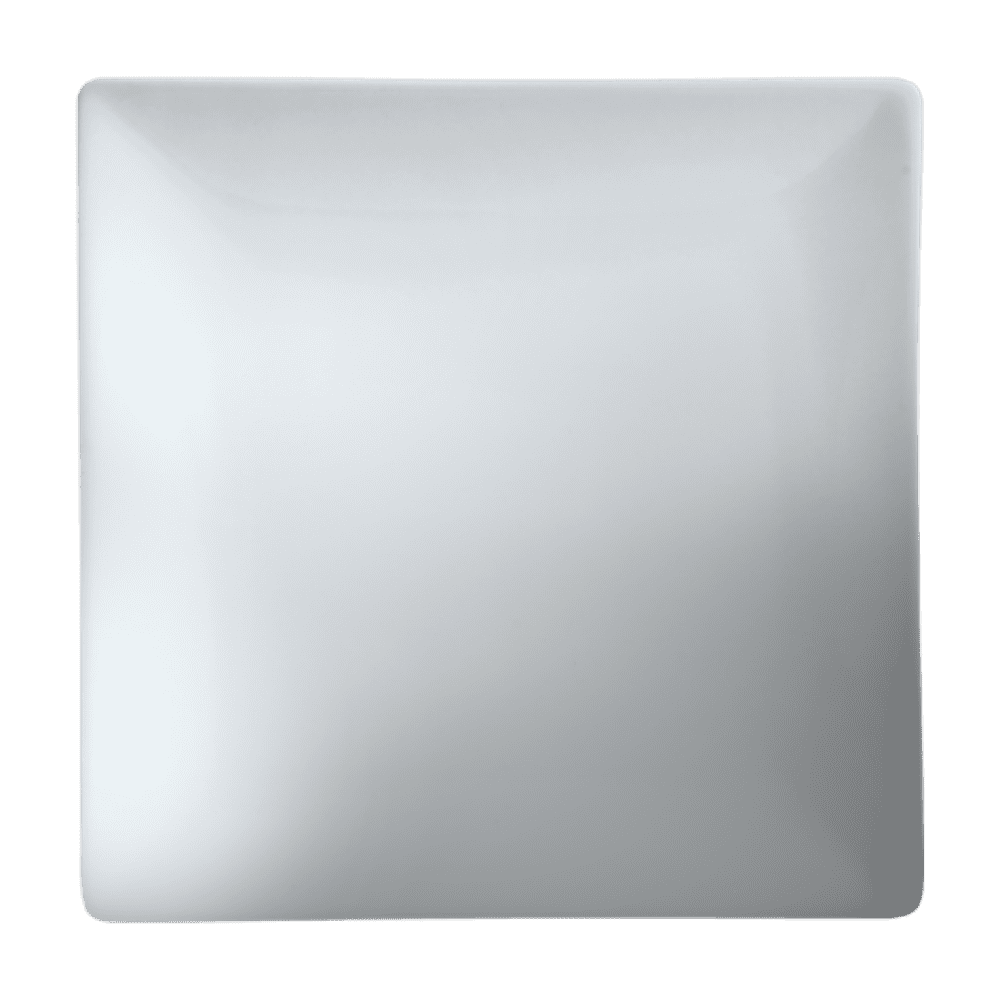Square Cameo 10 Plates - 12 Pack for Elegant Dinner Parties & Special Occasions