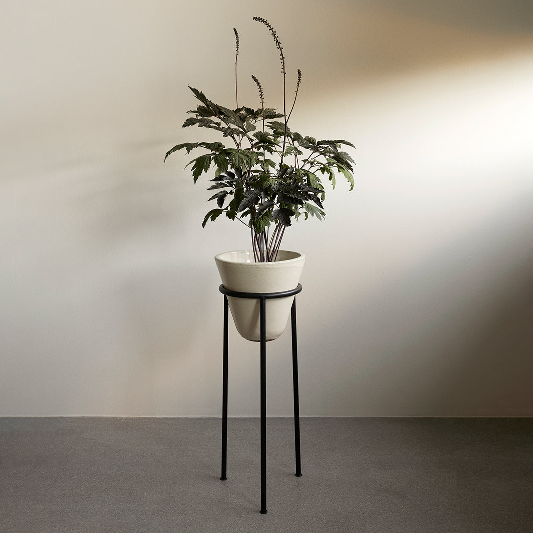 Premium Menu Daiza Planter - Elegant Ceramic Flower Pot for Indoor Plants, Succulents & Home Decor | Perfect for Living Room, Office & Garden Decor
