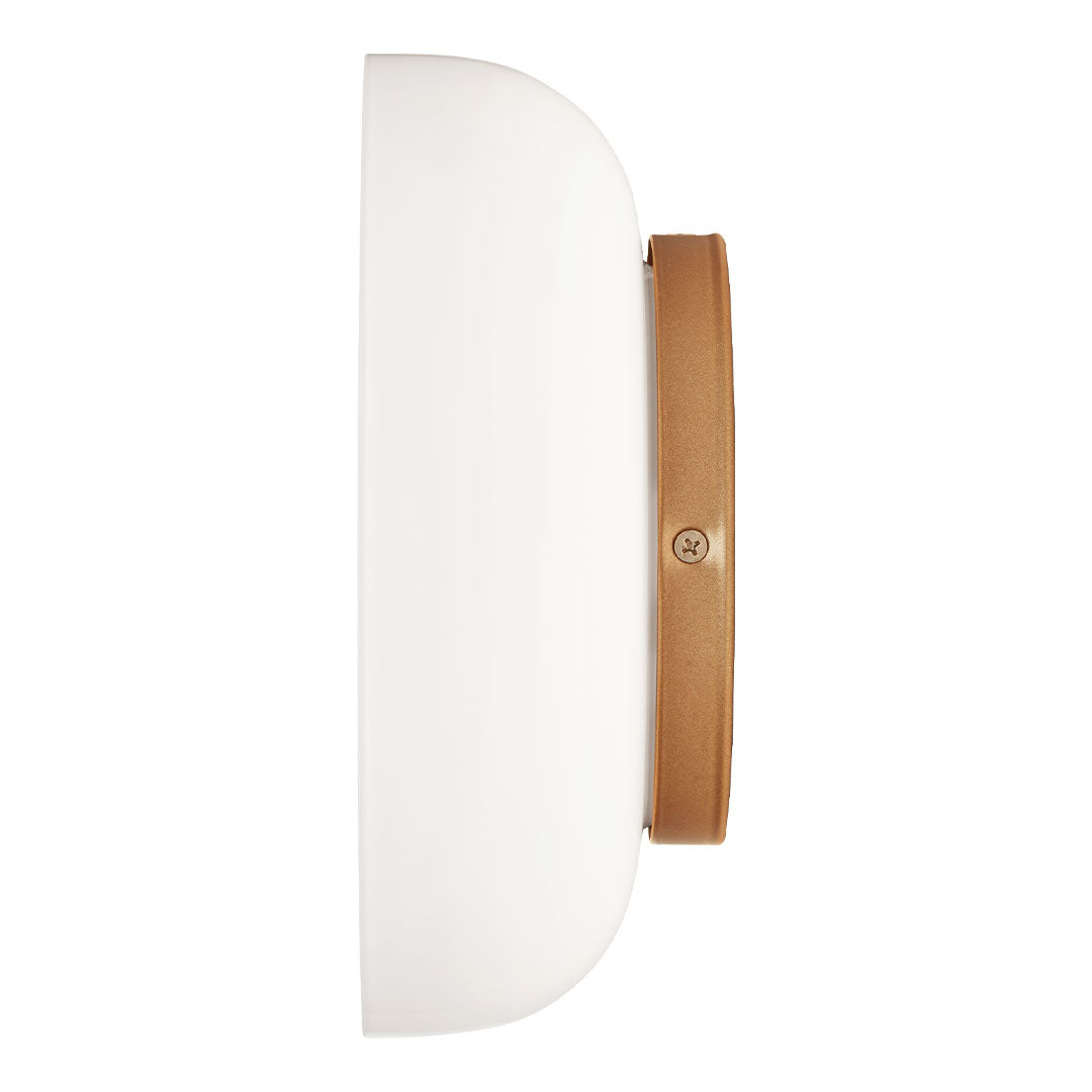 Blossi Modern Wall Sconce Light - Elegant LED Wall Lamp for Bedroom, Living Room, and Hallway - Perfect for Ambient Lighting and Home Decor