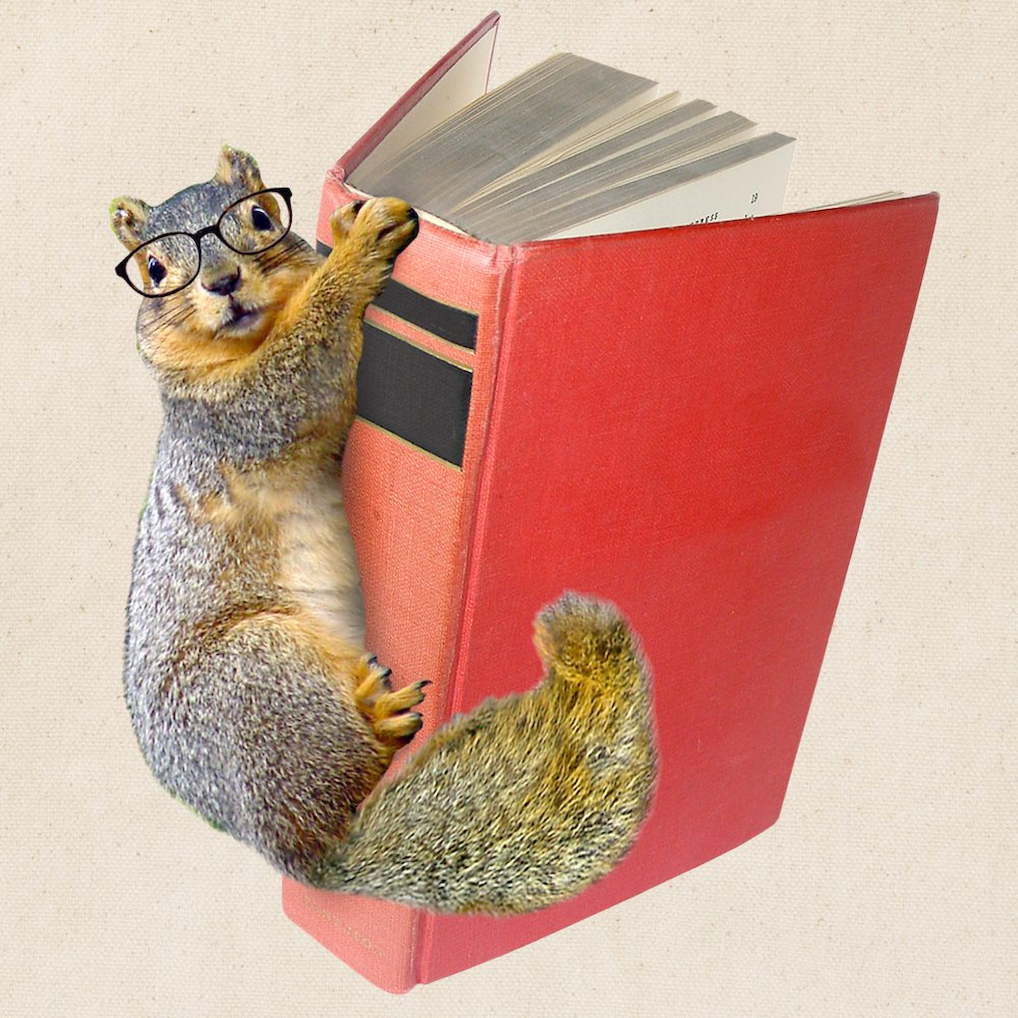 Eco-Friendly Squirrel on Book Canvas Tote Bag - Natural Reusable Shopping Bag for Groceries, Beach & Library | CafePress