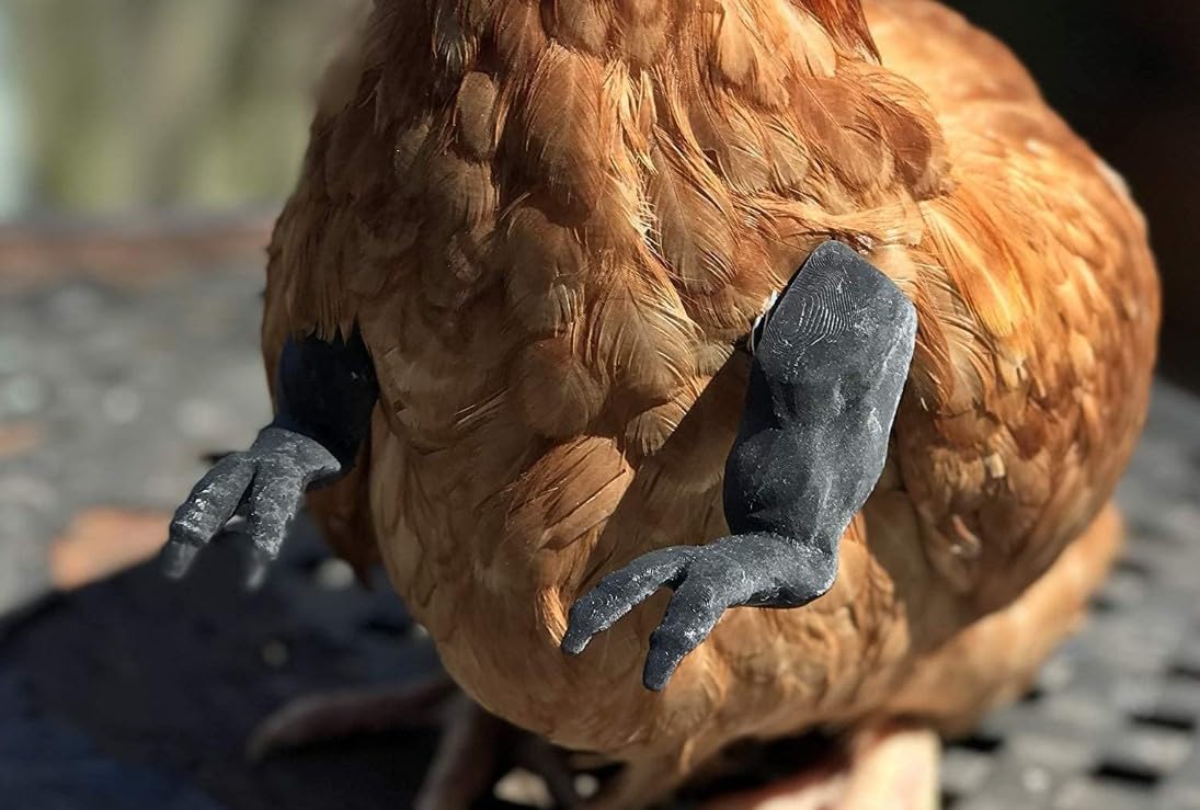 Original T-Rex Black Dinosaur Claws for Chickens - 3D Printed Funny Chicken Costume Accessories | Made in Texas USA | Novelty Photo Props for Viral Memes & Social Media | Perfect for Farm Pranks, Pet Costume Parties & TikTok Videos
