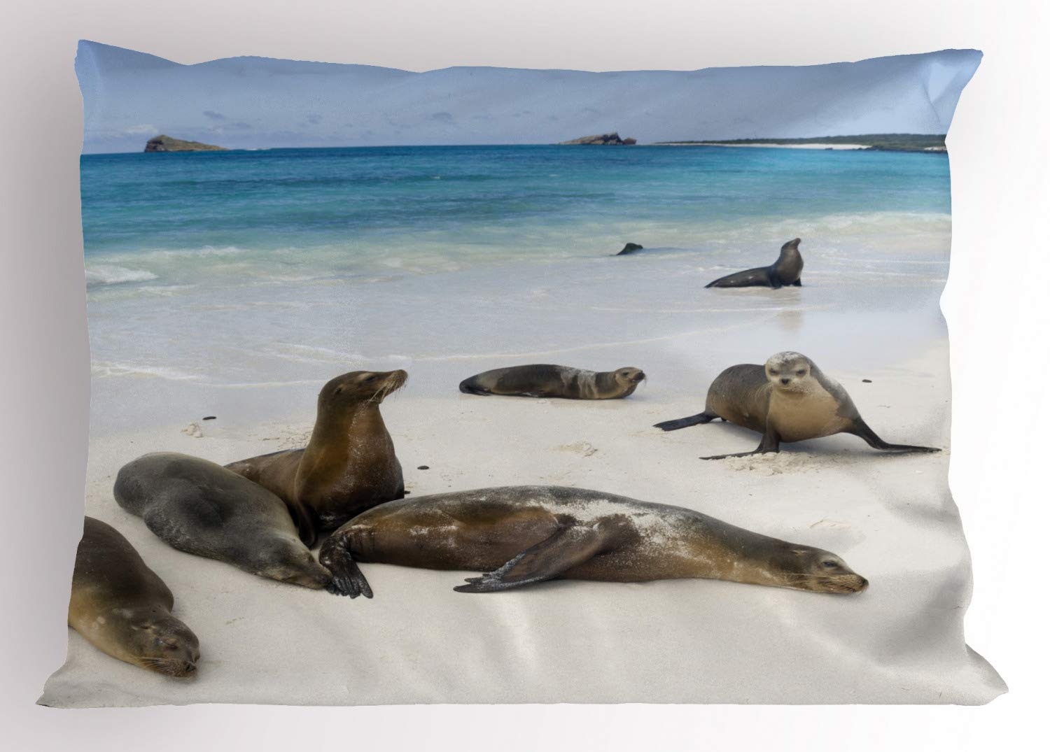 Ambesonne Ecuador Galapagos Island Sea Lions at Sandy Beach Nature Photo Printed Pillow Sham - Standard King Size 36