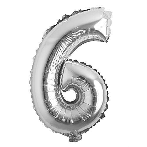 16 Inch Silver 6