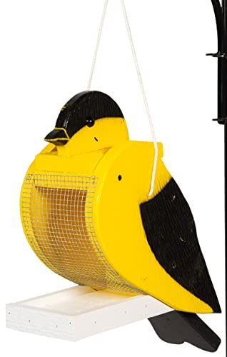 Gold Finch