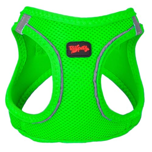 Neon Green
