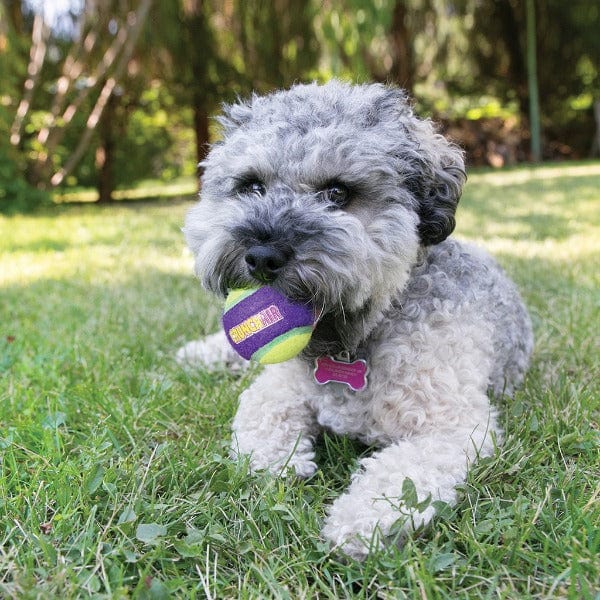 KONG CrunchAir Ball Dog Toy - Durable Chew Toy for Small & Large Dogs - Interactive Fetch & Chewing Toy for Indoor & Outdoor Play