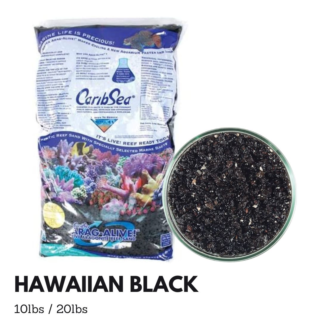 Caribsea Aragalive Hawaiian Black Sand for Aquariums - 10/20lbs | Natural Marine Substrate for Saltwater & Reef Tanks | Perfect for Coral Growth & Fish Habitat