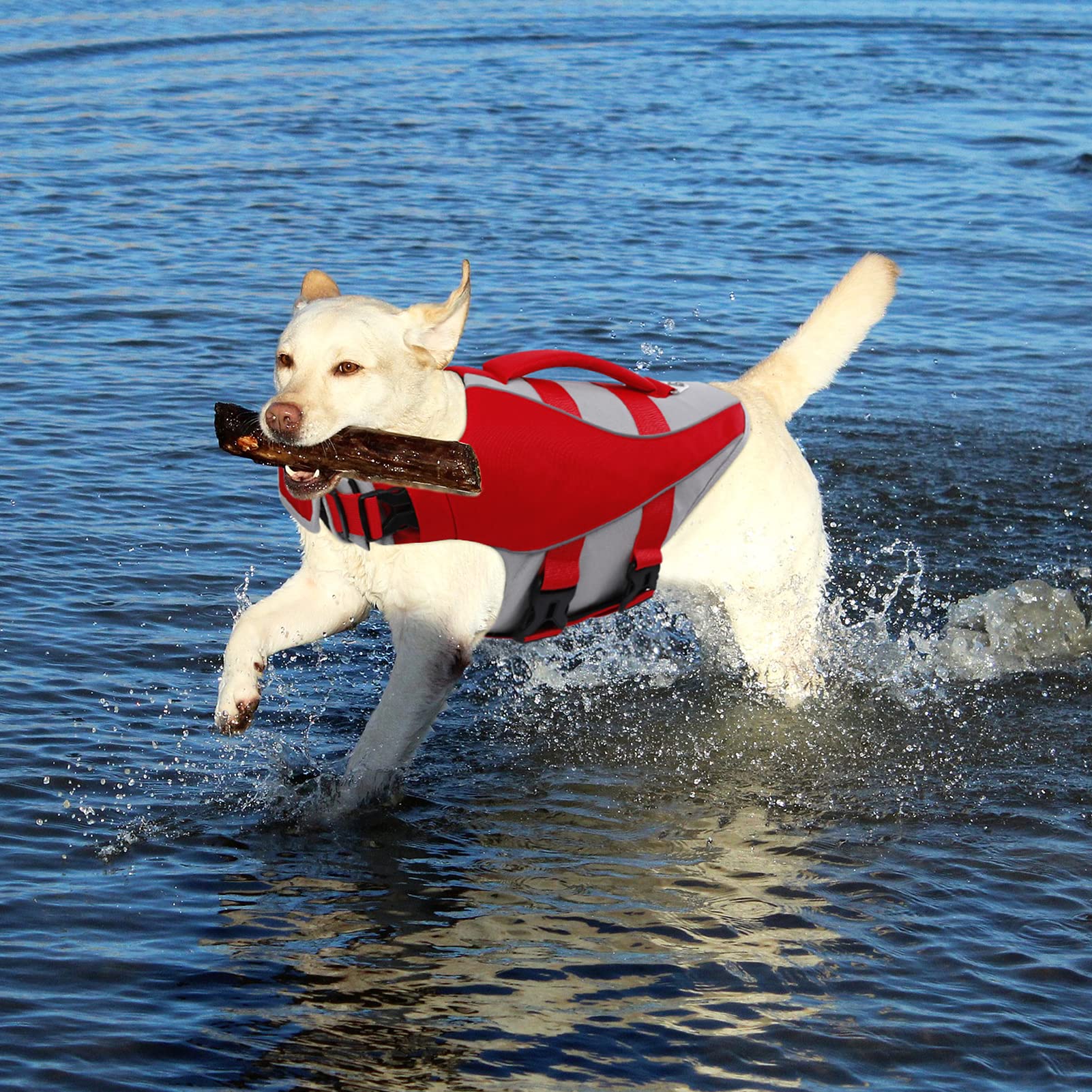 Queenmore Dog Life Jacket - Adjustable Reflective Swimming Vest for Small, Medium & Large Dogs | High Buoyancy Pet Life Preserver & Lifesaver | Perfect for Boating, Swimming & Water Safety (Red, Small)