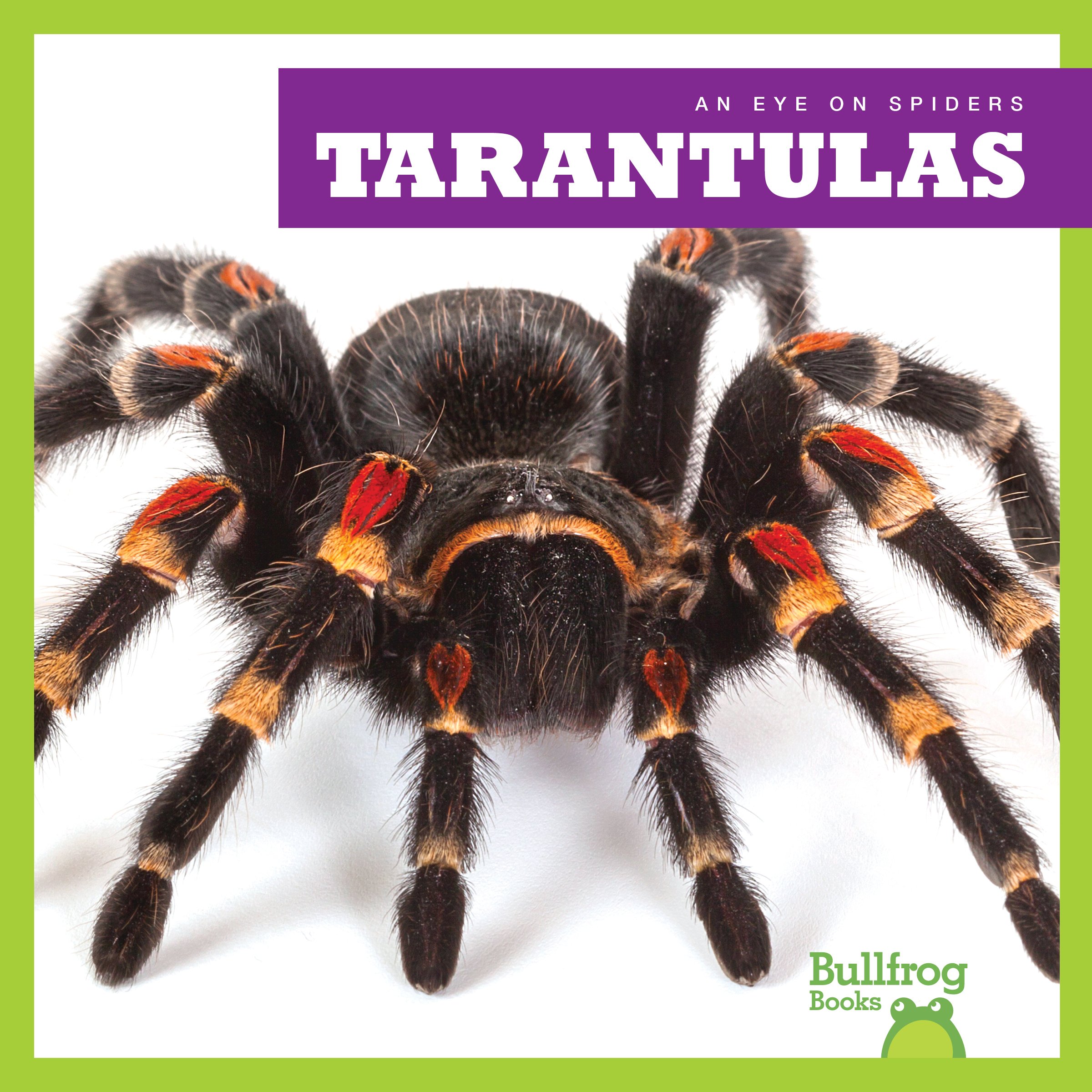 Tarantulas Book - Bullfrog Spiders Guide for Kids & Adults
