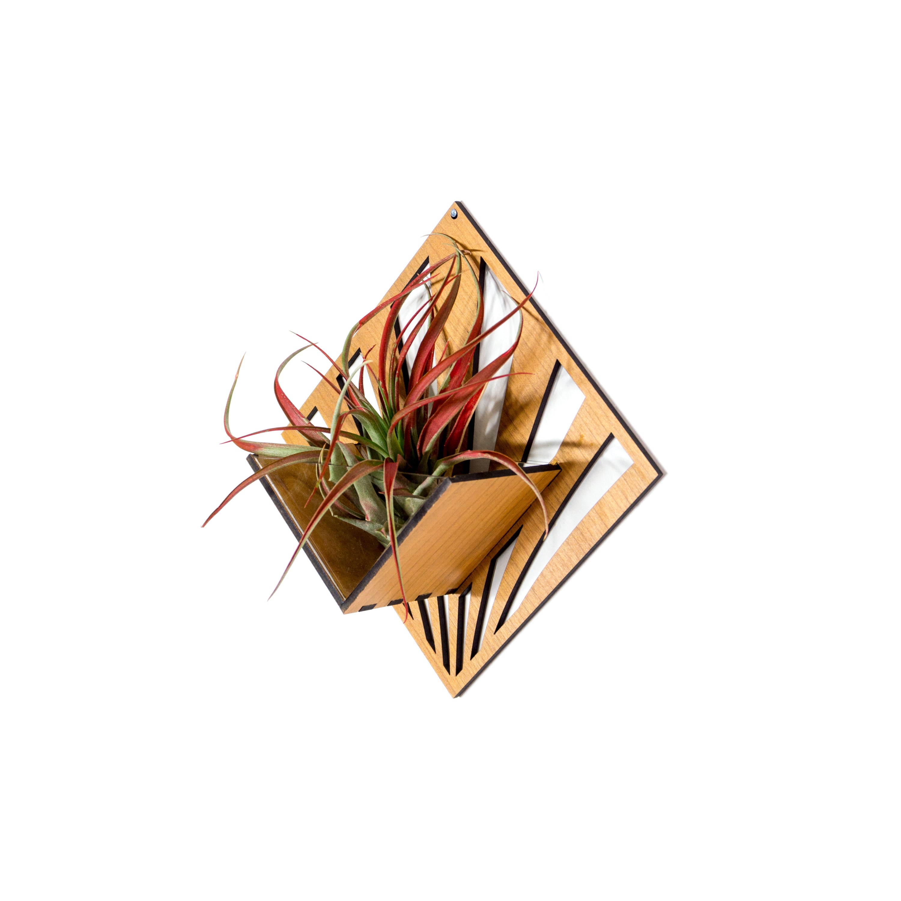 Handmade Wooden Quadrate Wall Planter Set of 2 - Air Plant Holder & Mounted Hanger Display for Tillandsia | Rustic Home Decor, Unique Plant Lover Gift Idea for Living Room, Bedroom or Office Decor