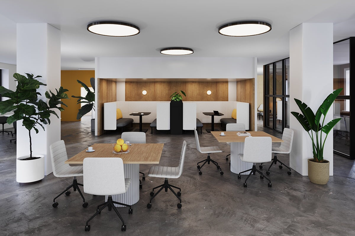 Premium Baobab Circular Base Boardroom Rectangle Table - 1200L x 1200W - Executive Office Conference Table for Professional Meetings & Presentations