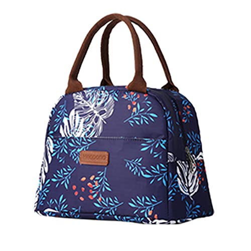 Insulated Lunch Bag for Women - Leakproof & Portable Tote Lunch Box for School, Office, Picnic & Outdoor Activities | Fashionable & Waterproof Design