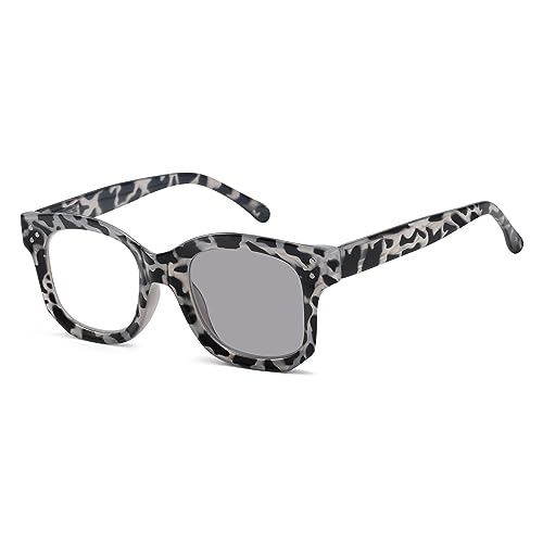 Grey Tortoise