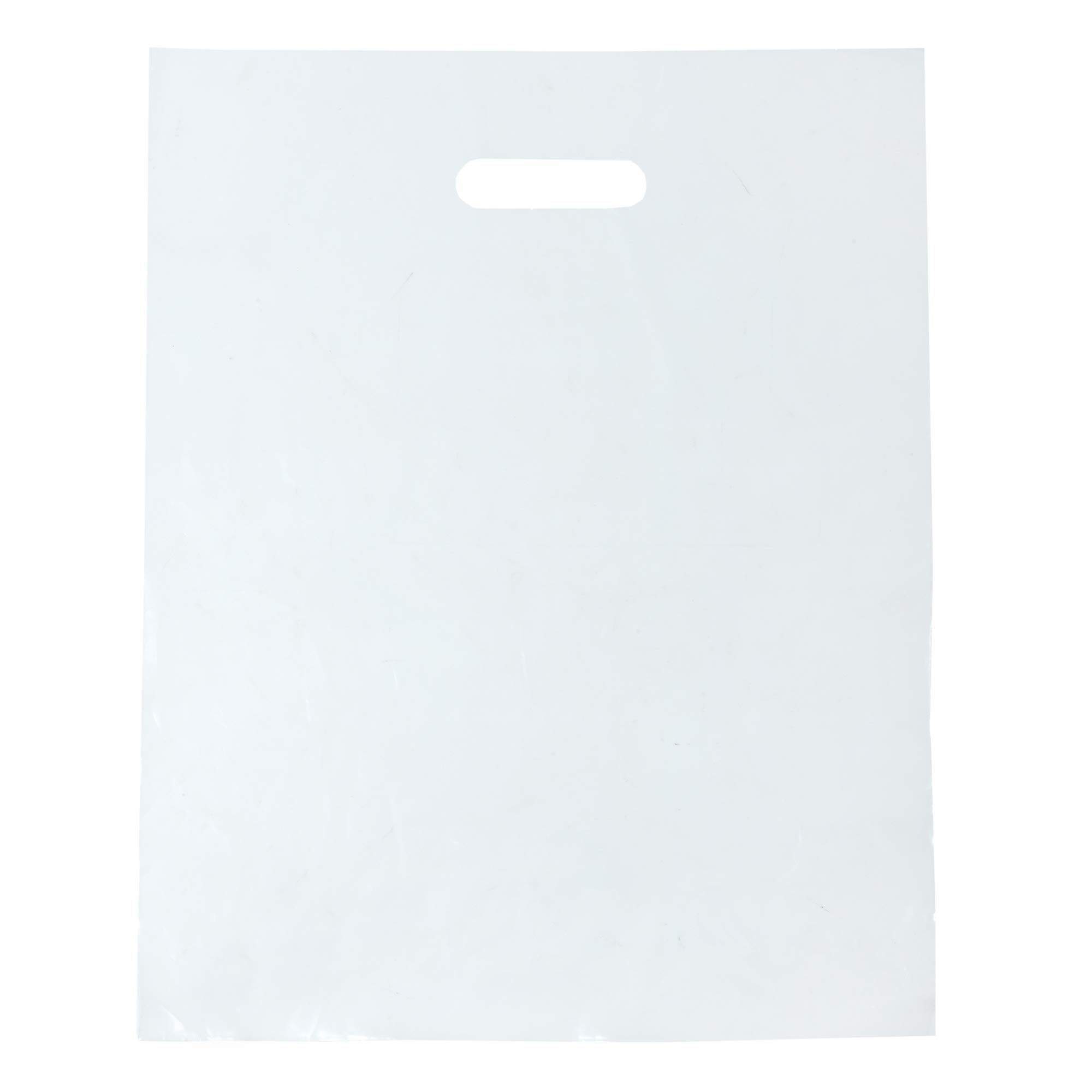 1000 Clear Plastic Bags with Handles 12