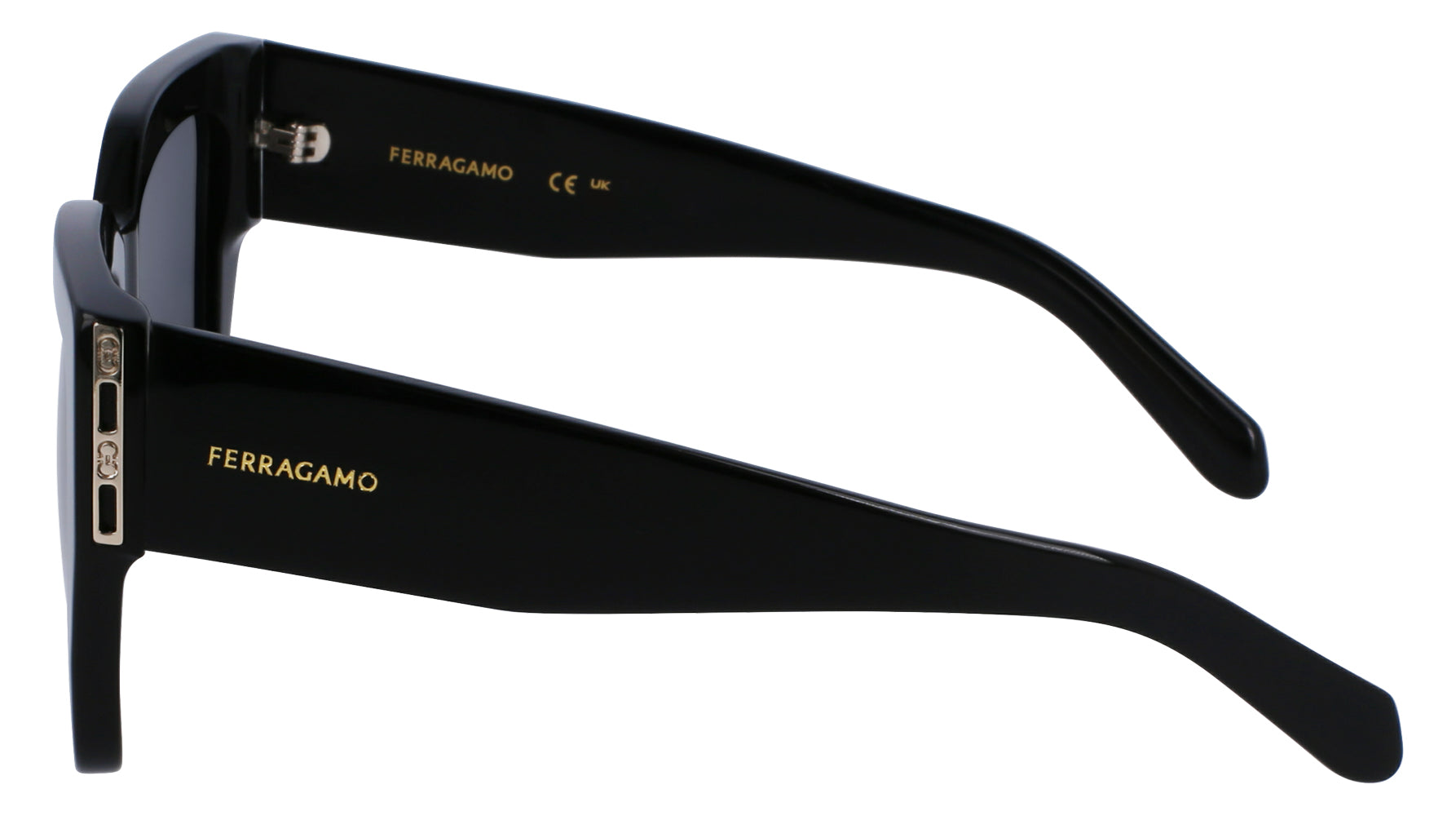 Ferragamo SF1104S Sunglasses for Women - Luxury Designer Shades with UV Protection - Perfect for Outdoor Activities, Travel, and Fashion Accessories