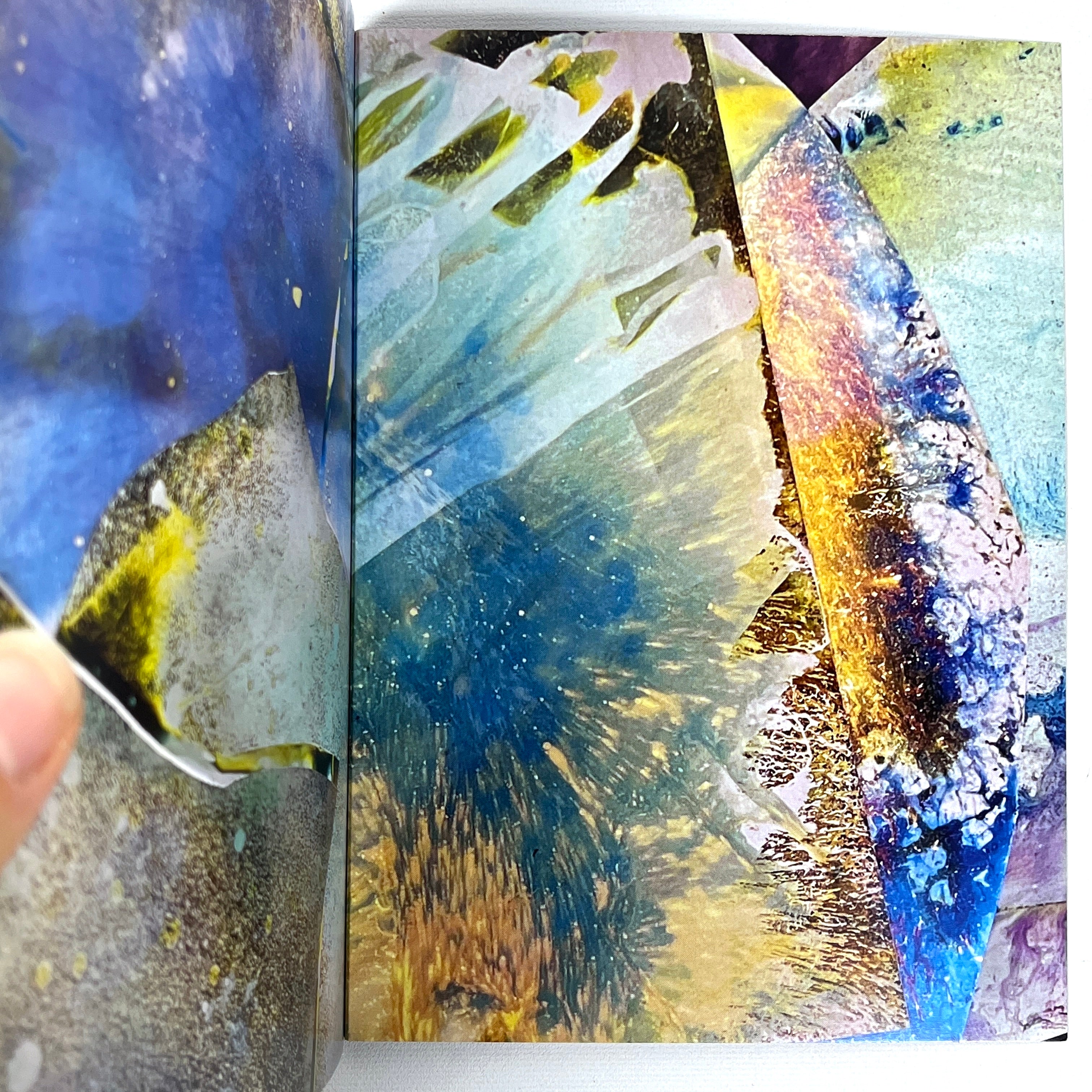 Mariah Robertson Book of Details 2022 - Abstract Photogram Artist Book | Fine SC Edition | Perfect for Art Collectors & Photography Enthusiasts