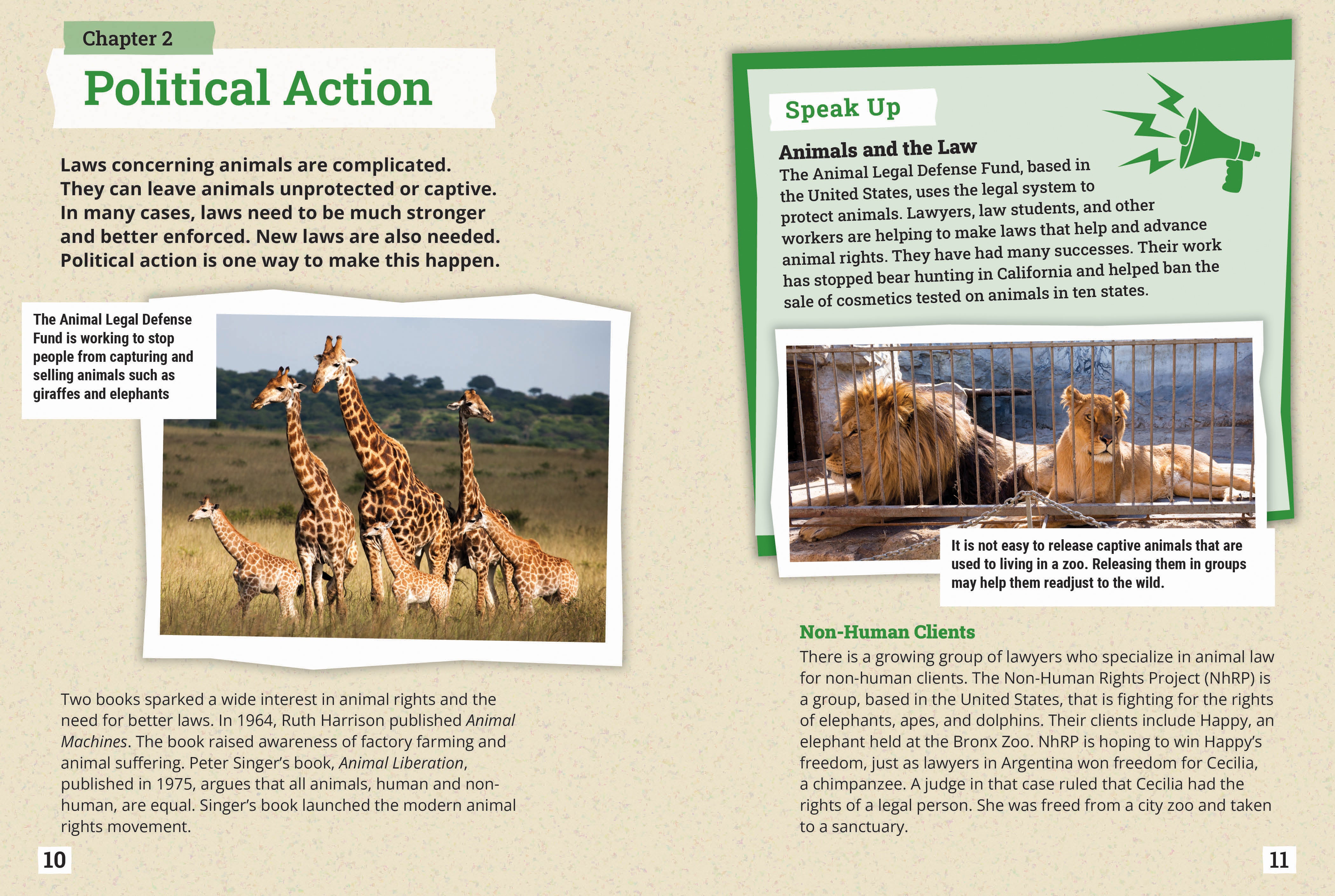Animal Rights Be The Change - Support Ethical Treatment & Animal Welfare for a Compassionate World | Perfect for Activists, Pet Lovers & Vegan Lifestyle
