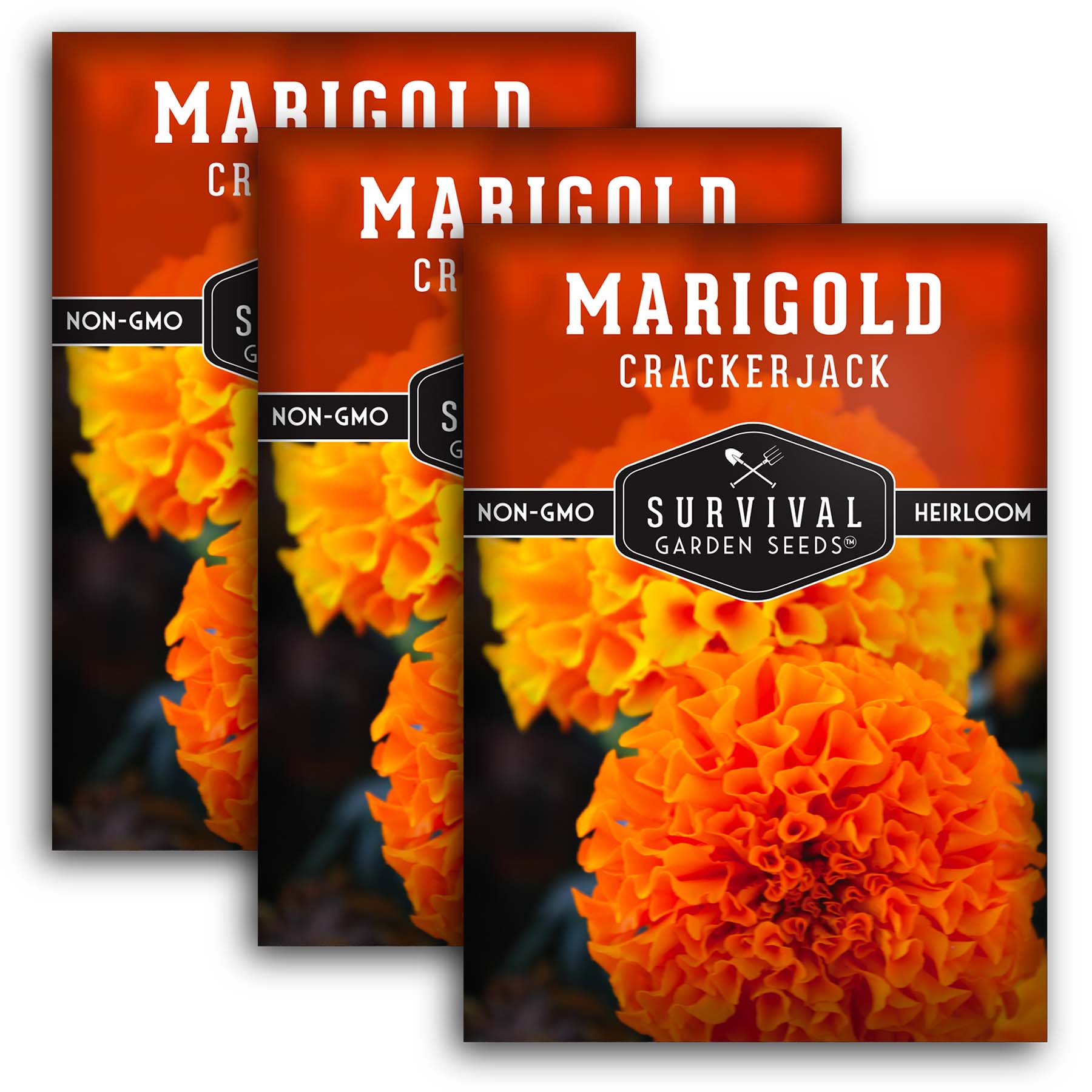 Premium Marigold Seeds for Planting - Crackerjack Variety - Bright Orange Flowers for Garden, Landscaping & Pollinator-Friendly Gardens - Non-GMO, Heirloom Seeds (100+ Seeds) - Perfect for Borders, Containers & Cut Flowers
