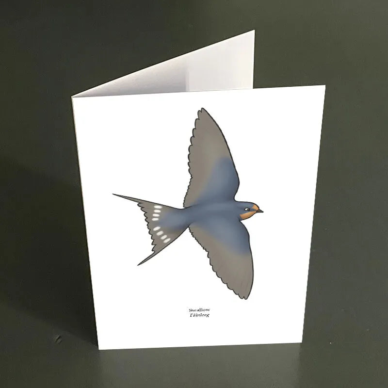 Swallow Greeting Card by Joe Hollingsworth & Oystercatcher - Perfect for Birthdays, Anniversaries & Special Occasions