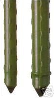 Gardeners Choice ST5 5-Foot Sturdy Plant Stake for Tomatoes, Vines & Flowers | Heavy Duty Garden Support for Outdoor Plants