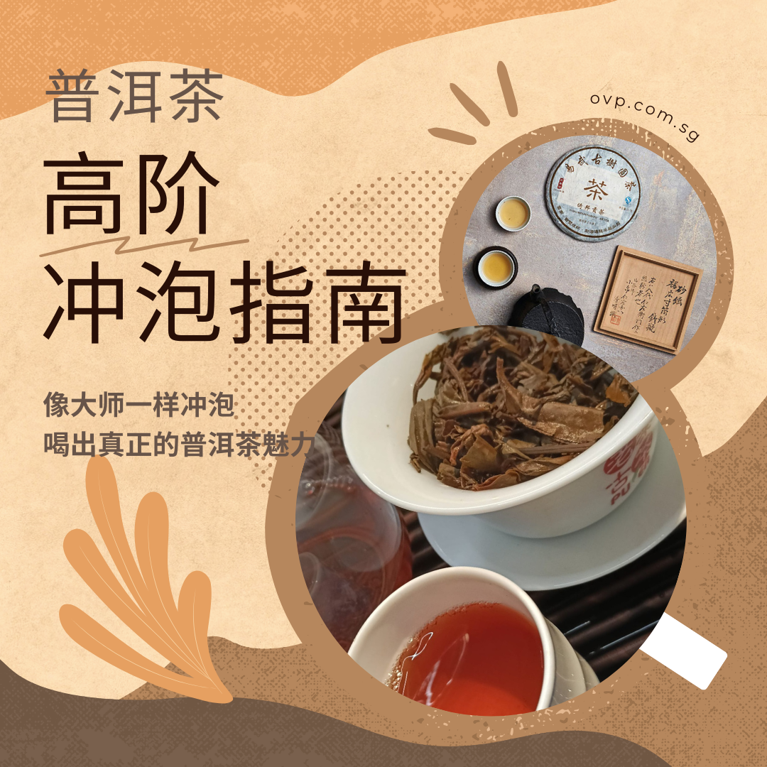 Premium Pu-erh Tea Brewing Guide - Digital PDF Download for Tea Lovers & Beginners | Perfect for Home Brewing, Gifts & Tea Ceremonies
