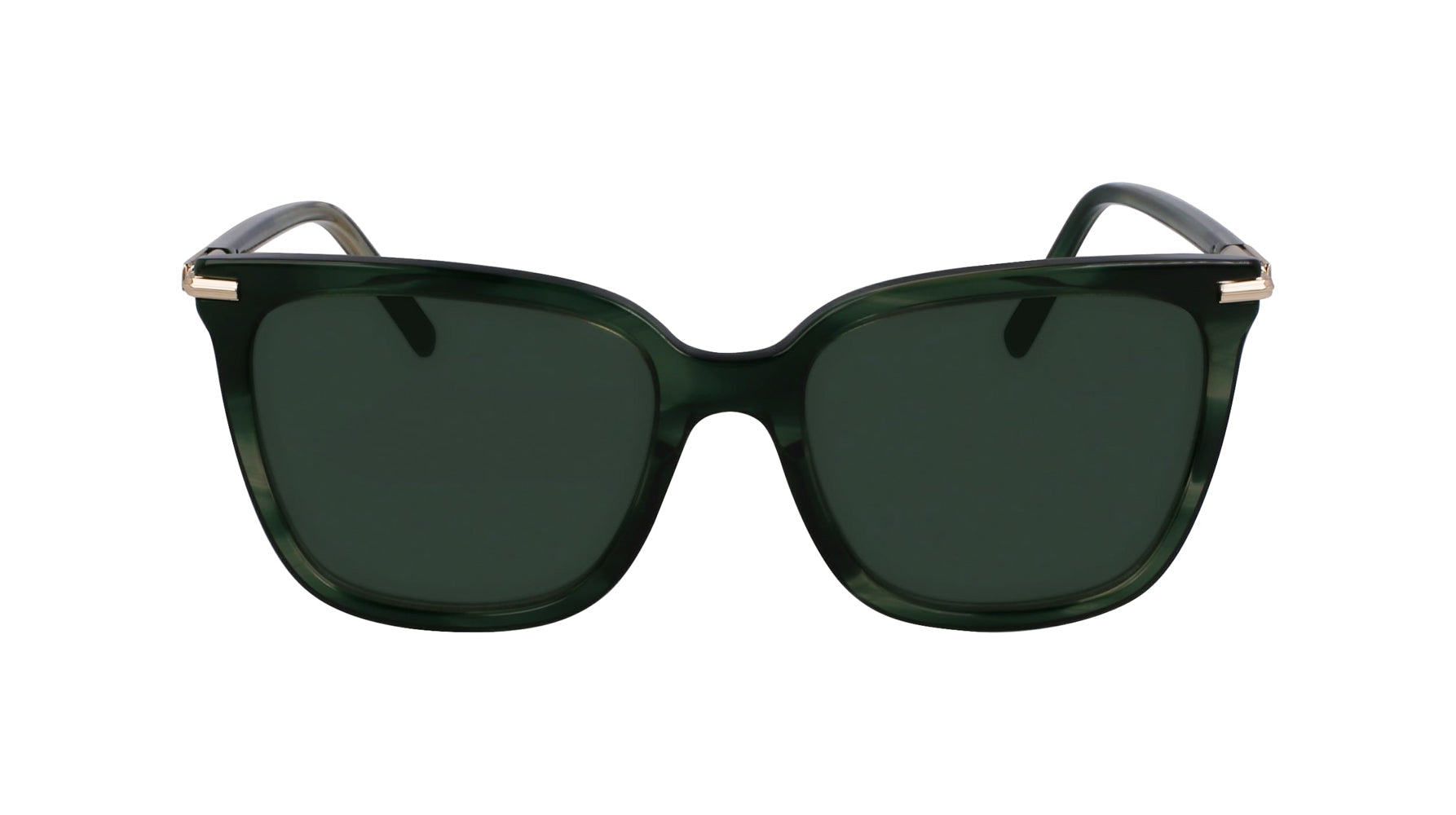Ferragamo SF2037S Sunglasses for Women - Luxury Designer Shades with UV Protection - Perfect for Outdoor Activities, Beach, and Fashion Accessories