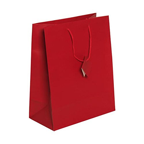 Premium Red Matte Gift Bags with Rope Handles - 10