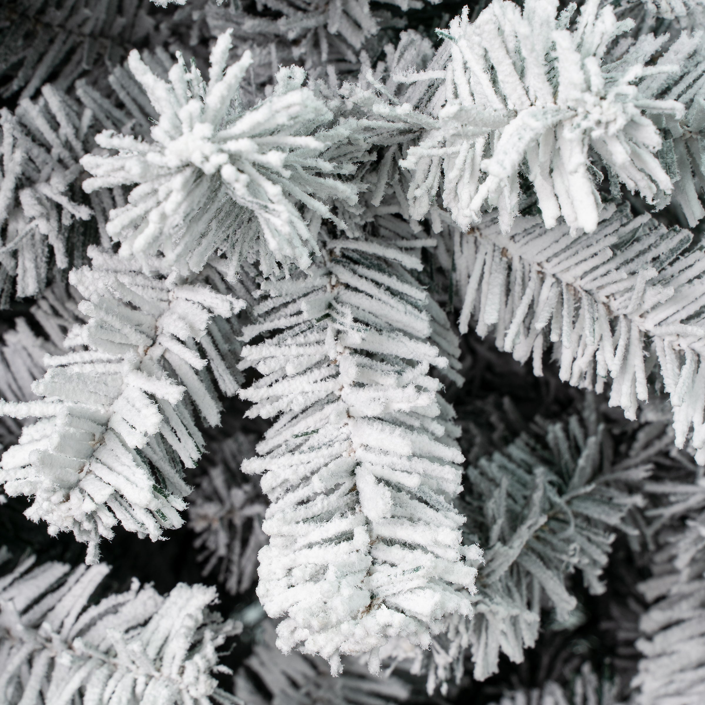 6 ft. Acacia Pencil Slim Flocked Christmas Tree - Perfect for Small Spaces, Apartments & Office Decor | Holiday Home Decoration