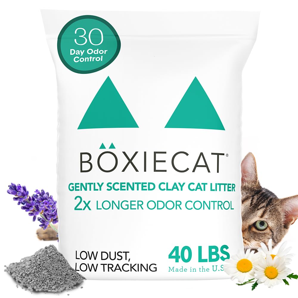 Boxie® Gently Scented 30-Day Odor Control Clumping Clay Cat Litter - 40lb Natural Kitty Litter for Multi-Cat Homes & Large Litter Boxes