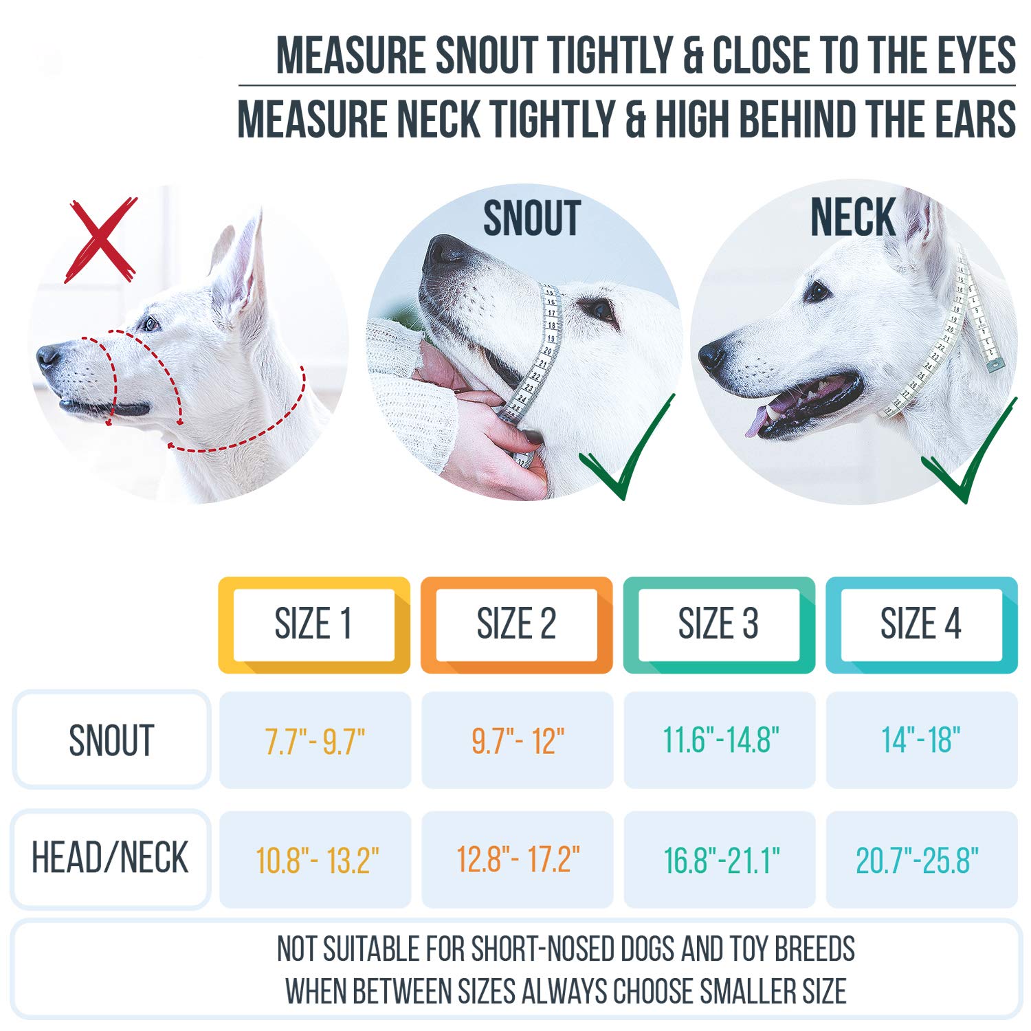GoodBoy No-Pull Dog Head Halter with Safety Strap - Stop Leash Pulling for Small, Medium & Large Dogs - Padded Comfort Headcollar for Training - Includes Guide (Size 3, Blue) - Perfect for Walks, Jogging & Obedience Training