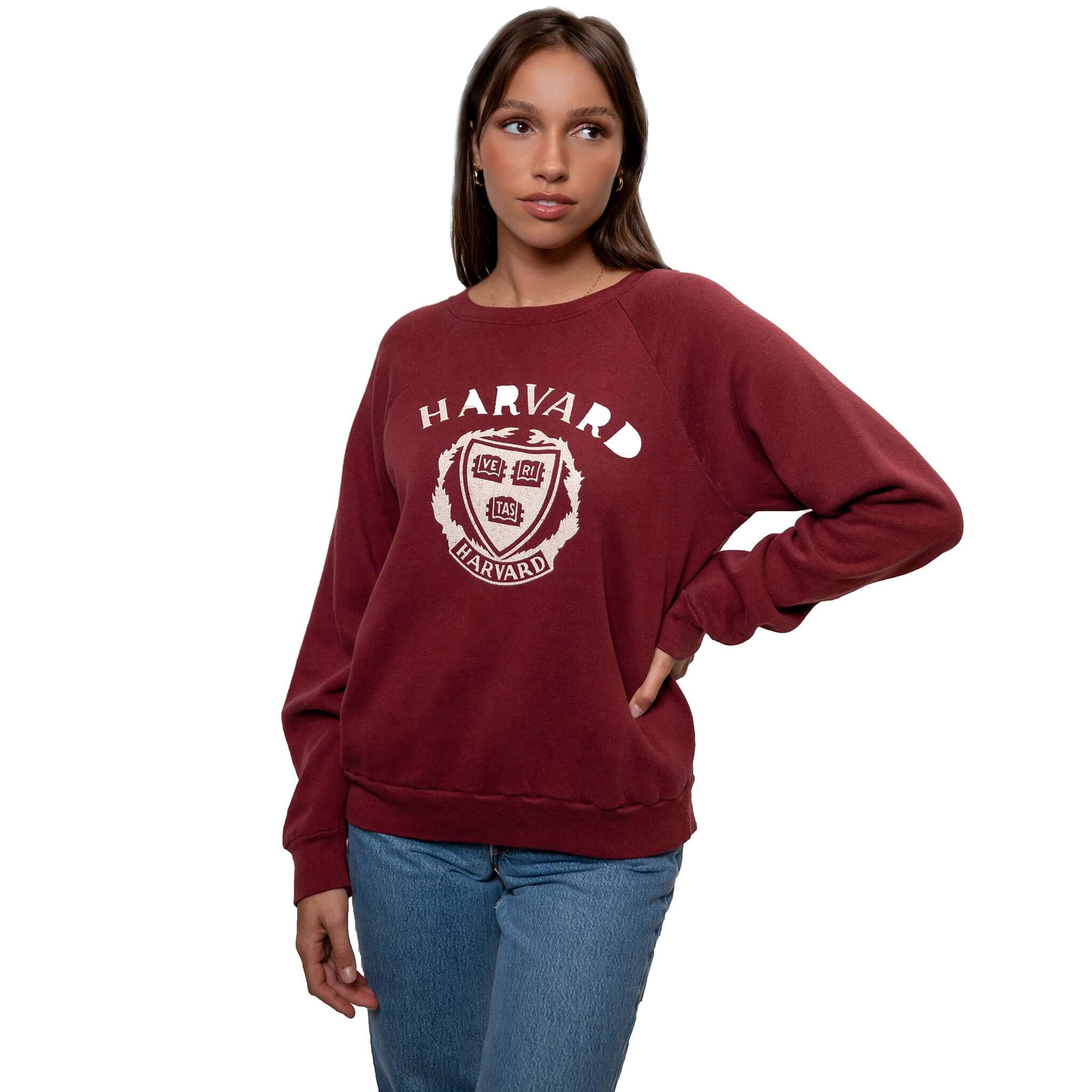 Vintage Champion Harvard University Sweatshirt 1980s Large - Made in USA - Retro College Apparel for Casual Wear & Vintage Fashion Collectors