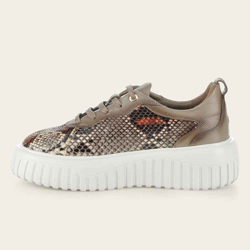Cuadra Women's Beige Python Sneakers - Stylish & Comfortable Casual Shoes for Walking, Travel & Everyday Wear