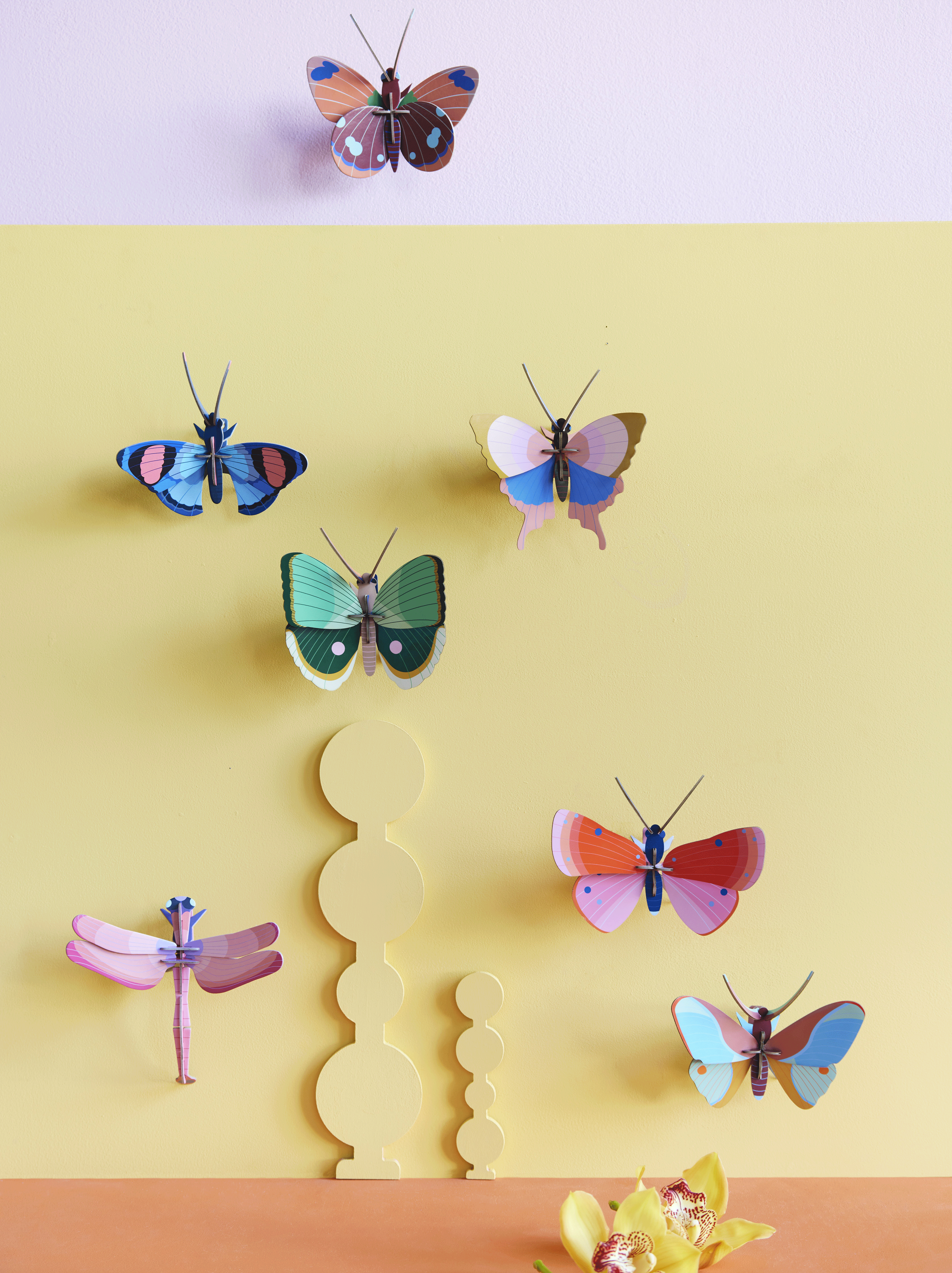 Gold Rim Butterfly Small Insect Specimen - Handcrafted by Studio ROOF - Perfect for Home Decor, Shadow Box Display & Entomology Collections
