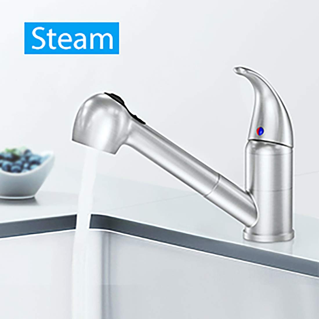 LEPO Single Handle Pull Out Kitchen Faucet - Brushed Nickel Stainless Steel Low Arch Design with Pull Down Sprayer - Perfect for RV, Bar, and Utility Sink Applications