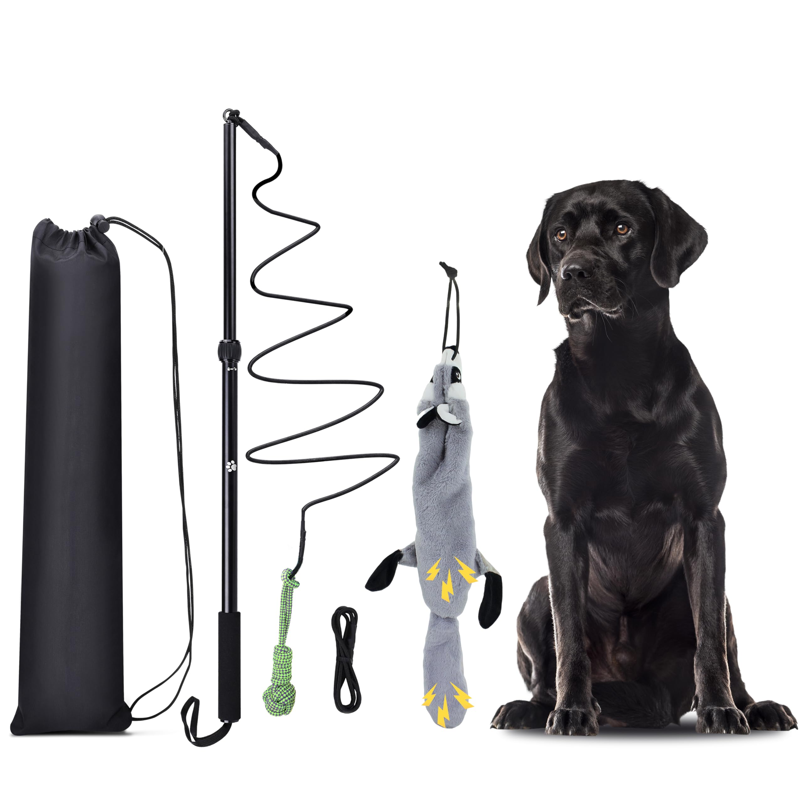 Flirt Pole Dog Toy with Squeakers - Interactive Chase & Exercise Pole for Small, Medium & Large Dogs - Includes Ball & Beaver Attachments - Perfect for Backyard Play, Training & Energy Burning