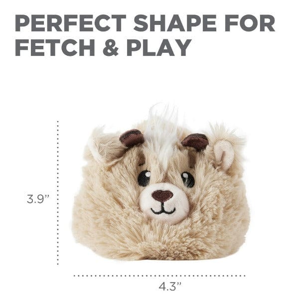 Outward Hound Reversi Balls Interactive Dog Toy - Fun Chew & Fetch Play for Small & Medium Dogs - Perfect for Indoor & Outdoor Use