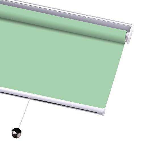 Premium Blackout Roller Shades - Cordless UV Protection Window Blinds, 53