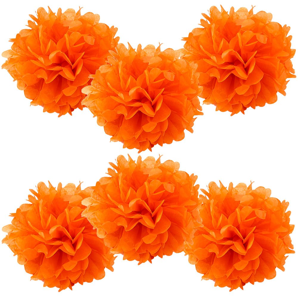 WYZworks Set of 6 Coral 12
