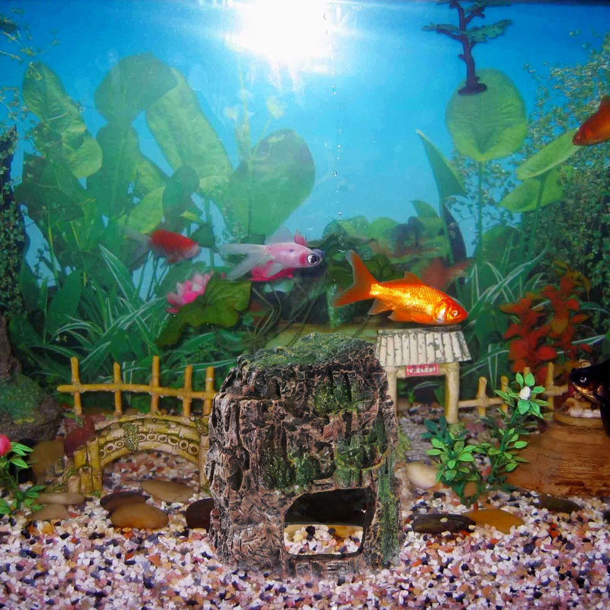 VORCOOL Aquarium Decor - Fish Tank Cave Hideout for Betta, Shrimp & Small Fish - Natural Landscape Ornament for Aquatic Pets (Perfect for Hiding, Breeding & Aquascaping)