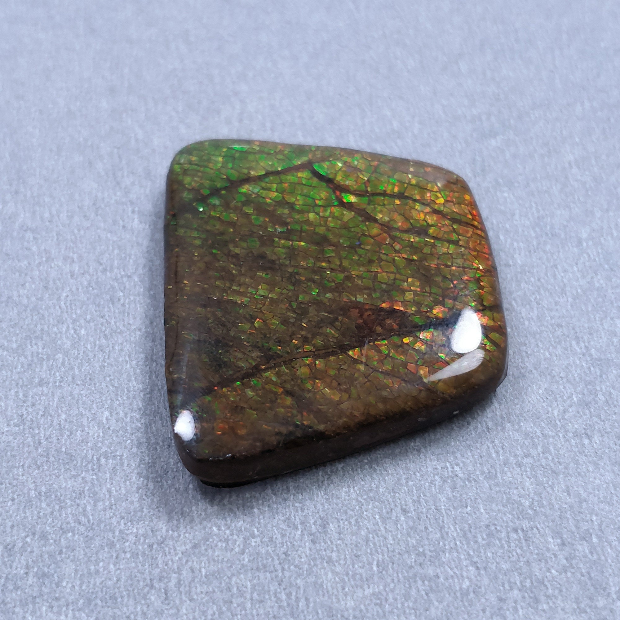 Natural AMMOLITE Gemstone Cabochon - 56.90cts Bi-Color Fossilized Shell Trapezoid Shape (29x36mm) for Jewelry Making | Rare Collectible Stone with Video | Perfect for Rings, Pendants & Earrings
