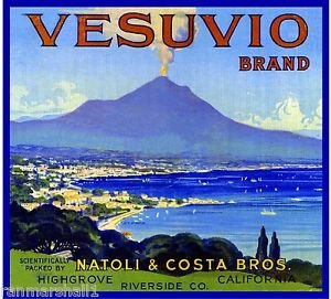 Vintage Italian Orange Citrus Fruit Crate Magnet - Vesuvio Highgrove Art Print - Perfect for Fridge Decor, Kitchen Accessories & Travel Souvenirs