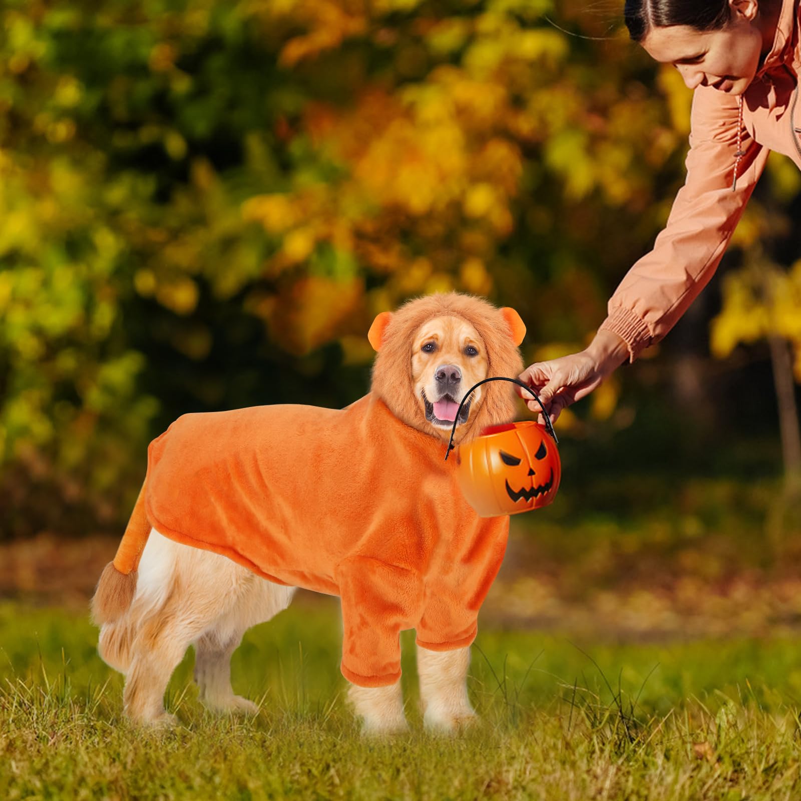 Rypet Large Dog Lion Costume - Halloween Pet Outfit with Leash Hole & Mane Hoodie - Lion Cosplay Costume for Medium to Large Dogs - Perfect for Halloween Parties, Pet Parades & Costume Contests