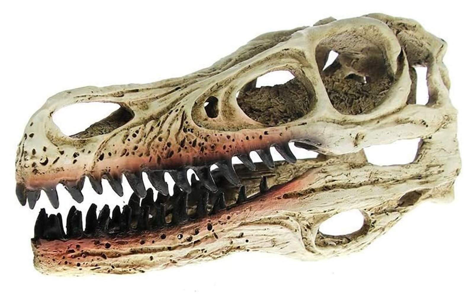 Handmade Resin Dinosaur Skull Statue - Realistic Skeleton Sculpture for Home Decor, Office Desk, Halloween Party & Unique Gift Idea for Dinosaur Lovers